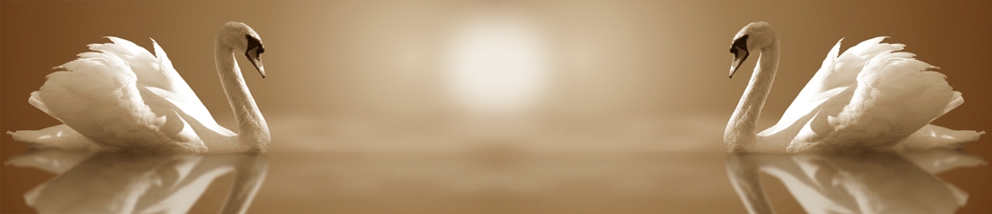 skinali 3644